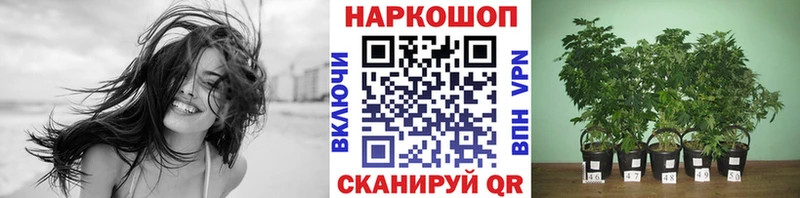 Продажа наркотиков Буинск ГАШИШ  Амфетамин  Cocaine  A PVP  Меф мяу мяу  Конопля 