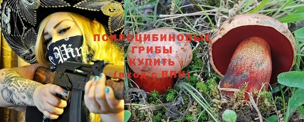 спайс Баксан