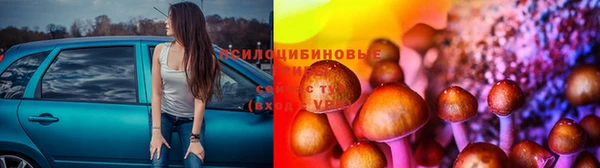 тгк Балахна